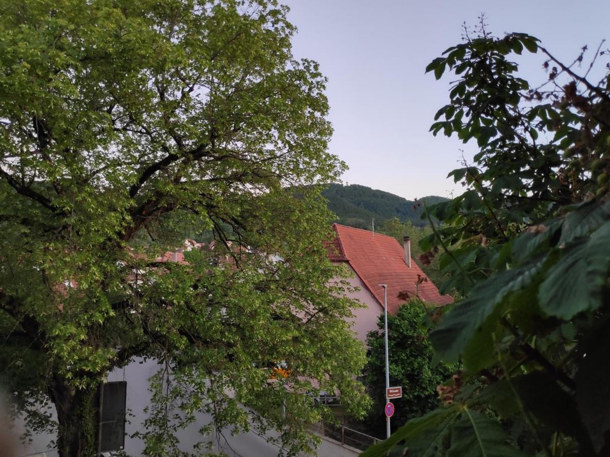 Ferienwohnungen Und Zimmer In Reutlingen-Goenningen Εξωτερικό φωτογραφία